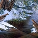 winter-painting-terry-redlin_2082081563