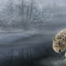 wolf-drinking-water-painting_532953202
