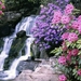 azaleas-and-rhododendron_970371683