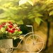 bike-flower-basket_808263719