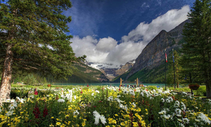 landschap-achtergrond-met-bloemen-bergen-en-een-meer