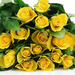 hd-bloemen-wallpaper-met-een-bos-gele-rozen-achtergrond-foto