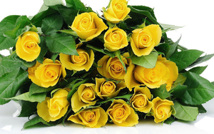 hd-bloemen-wallpaper-met-een-bos-gele-rozen-achtergrond-foto