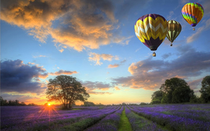 achtergrond-met-luchtballonnen-boven-een-veld-vol-met-paarse-bloe