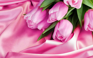 roze-achtergrond-met-roze-tulpen-hd-bloemen-wallpaper