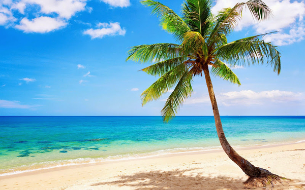 foto-tropisch-paradies-sand-strand-kuste-meer-ozean-palme-sommer-