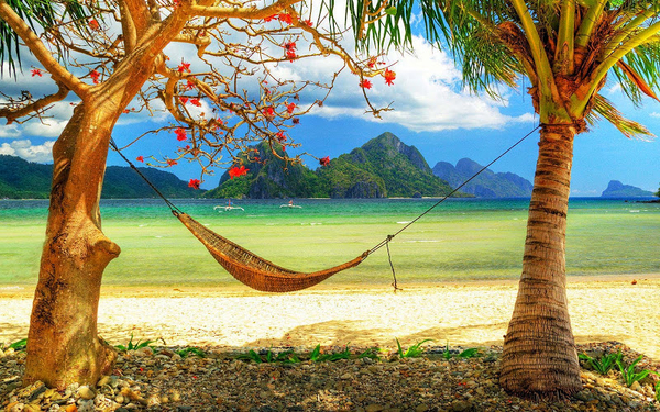 hd-strand-achtergrond-met-een-hangmat-tussen-twee-bomen-zomer-wal