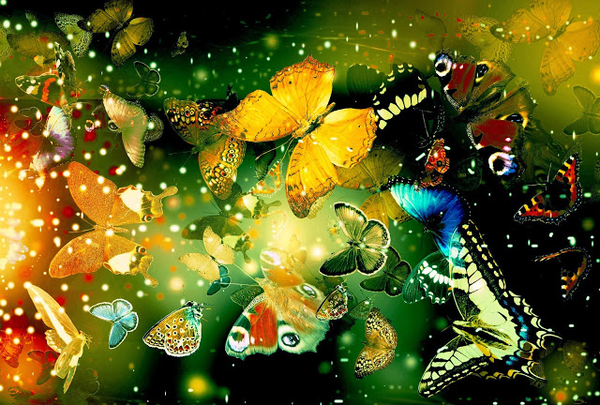 fantasie-achtergrond-met-vlinders-in-alle-kleuren
