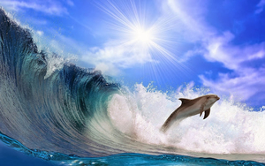 hd-achtergrond-met-een-dolfijn-in-de-blauwe-oceaan