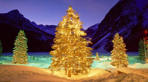hd-achtergrond-met-verlichte-kerstbomen-in-de-sneeuw