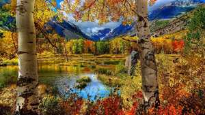 herfst-achtergrond-met-berg-landschap-met-water-en-bomen