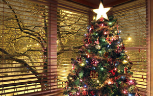 weihnachtsbaum-mit-brennenden-weihnachtsbaum-beleuchtung-und-gros