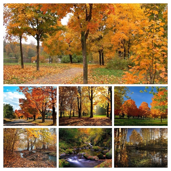 hd-herfst-achtergrond-met-herfst-in-het-park-hd-herfst-wallpaper-