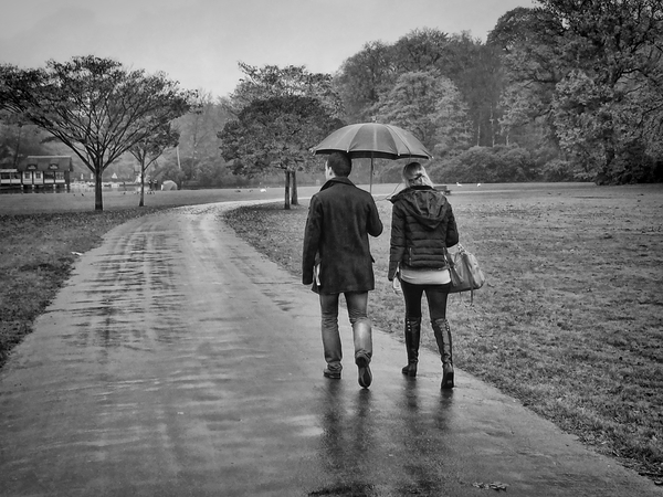 A walk in the rain Park Brasschaat