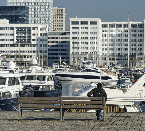 admiring the yachts in Antwerp