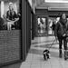 walking the dogs in the mall-Jules Grandgagnage