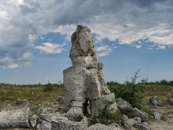 fossil-forest-bulgaria-1