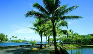 hd-wallpaper-with-trees-and-water-on-hawaii