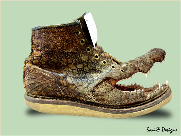 crocodille schoen