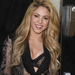 Shakira_-__The_Voice__Red_Carpet_Event_-_April_3__2014_034