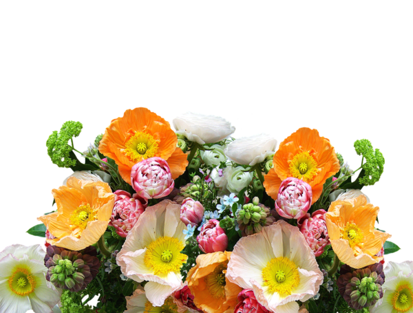 bouquet-of-flowers-2631884_960_720