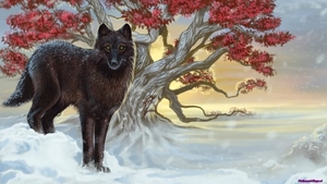 black-wolf-painting_909099804