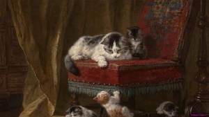 cats-painting_2124258687