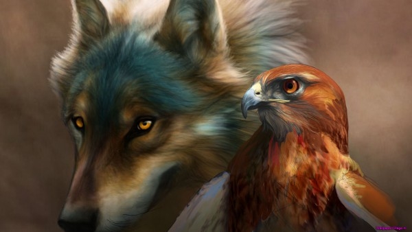painted-bird-and-wolf_1638521693