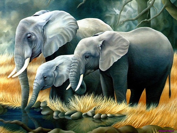 painted-elefante_1337930255