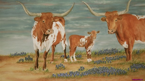 painted-texas-longhorn_1057564712