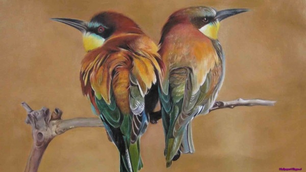painting-birds_928786037
