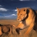 painted-lions_1901603140