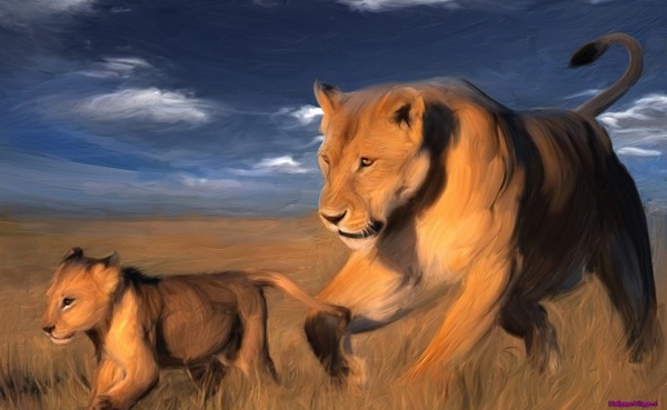 painted-lions_1901603140