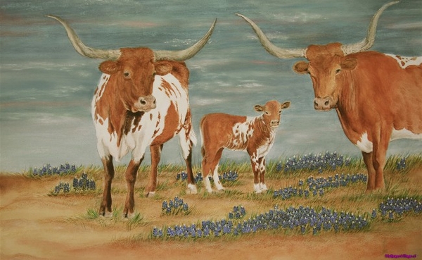 painted-texas-longhorn_1057564712