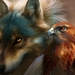 painted-bird-and-wolf_1638521693
