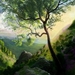 tree-painting_515352363