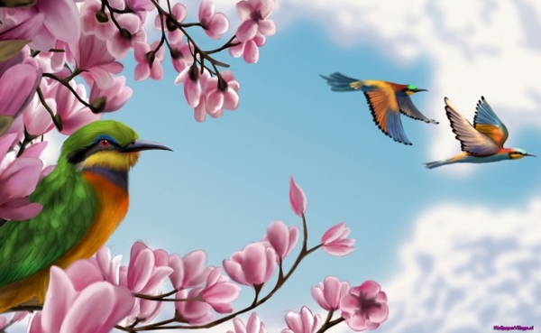 viewing-paintings-flowers-birds_1832387780