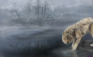 wolf-drinking-water-painting_532953202