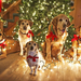 kerst-achtergrond-met-honden-bij-de-kerstboom-met-kerstverlichtin