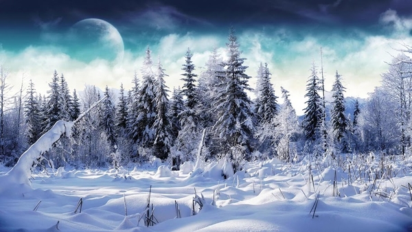 Winter_Snowy_forest_hd_backgrounds