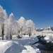 winter-landscape-with-mountains-trees-and+river