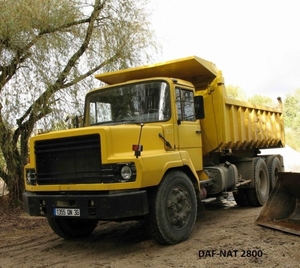 Daf-NAT2800