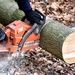 cutting-wood-2146507_960_720