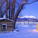 hd-winter-wallpaper-met-een-brandende-kerstboom-in-de-sneeuw-hd-k