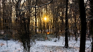 sunset-in-a-forest-and-snow-wallpaper
