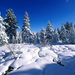 christmas-wallpapers-snow-backgrounds-trees+1