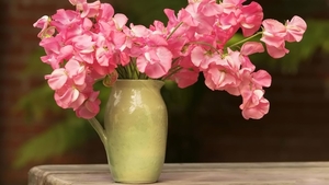 Bouquet_of_delicate_pink_flowers_1366x768_hd_background