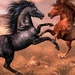 Arabian_horses_1366x768_laptop_backgrounds