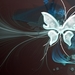 Butterfly_vector_3D_laptops_1366x768