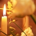 Decorated_Christmas_candles_laptops_wallpapers
